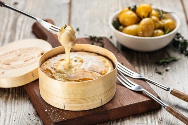 Vacherin
