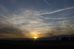 DSC_6296